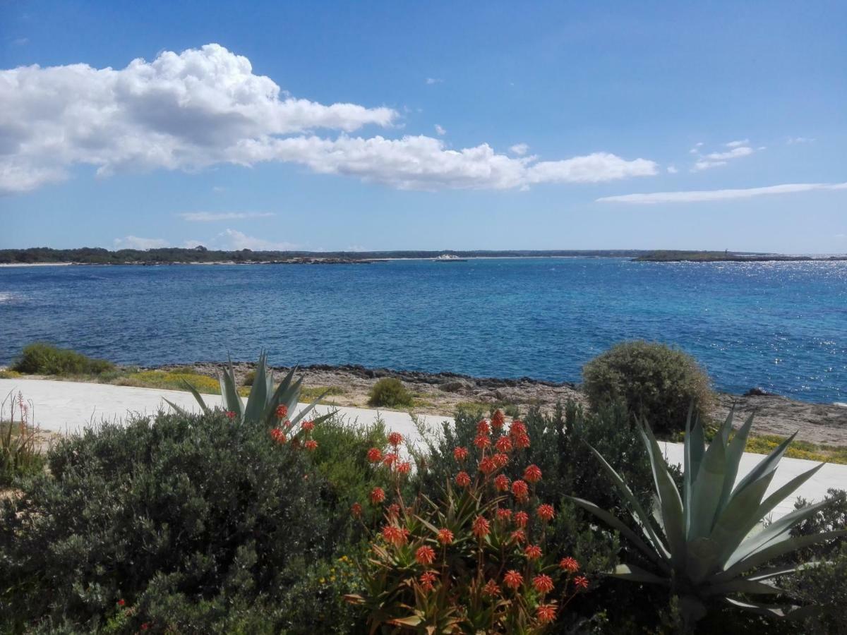 Son Coves Petit Ferienhaus